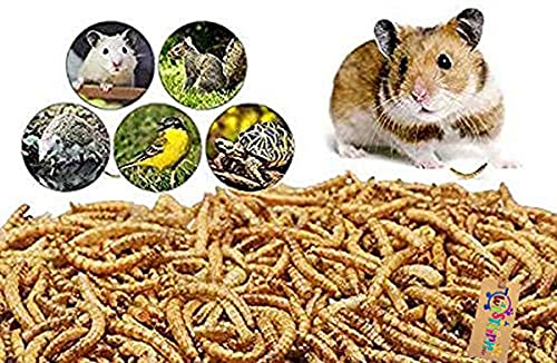 Western Era Natural Protein Treat Dried Mealworm for Hamster, Sugar Glider, Mice, Gerbil Hedgehog (50 Grms) (B083NVXCF6) Amazon Price History, Amazon Price Tracker