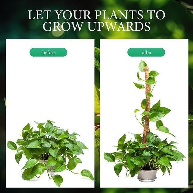 Moss Pole for Monstera,2 Pack 25 In/48 In Plant Supports for Indoor Plants,Bendable Plant Stakes Moss Poles for Potted Indoor Climbing Plants (60cm+120cm) - Image 4