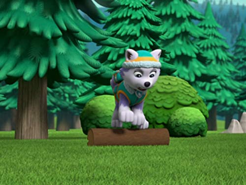 Pups Save Gustavo's Guitar/Pups Save the Yoga Goats