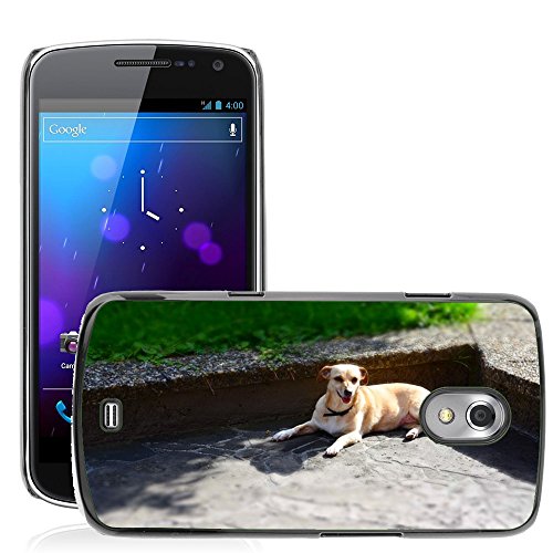 Wide selection of different designs