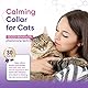 4 Pcs Pheromone Katzen Beruhigende Halsbänder Katze Calming Collar Cat Catcomfort Starter-Kit Lindern Stress und Angstlinderung verstellbare Anti Stress Katzenhalsband Ruhiges Katzenhalsband Verhalten