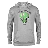 Ancient Aliens We are Not Alone Hooded Sweatshirt Athletic Heather XX-Large