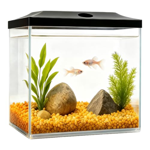 0.8-Gallon Cube Tank