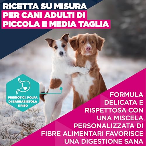 Eukanuba Cibo Secco Per Cani Con Agnello E Riso Per Razze Di Taglia Piccola E Media - Alimento Secco Premium Per Cani Adulti, 3 Kg - 3
