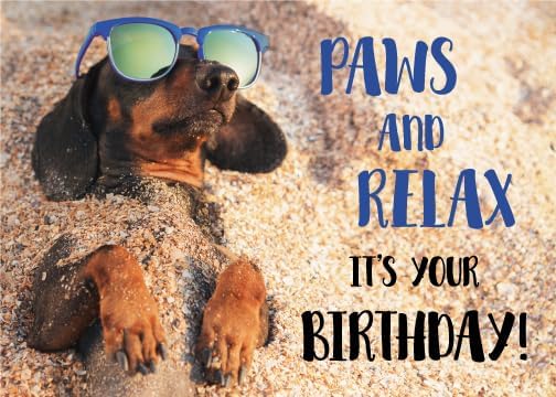 Gooji 5x7 Paws and Relax Dachshund Birthday Card – Funny Dog-Themed Greeting Card with Relaxing Beach Vibes for Animal Lovers and Special Celebrations