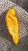 Yellow Bhut Jolokia Heirloom Ghost Pepper Premium Seed Packet + More