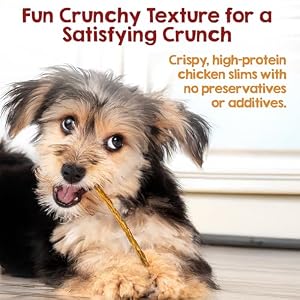 Riley's Slims Chicken Sticks for Dogs - USA Sourced Dehydrated Chicken Dog Treats - Chicken Strips Dog Jerky Treats Made in The USA - 2 Pack Rileys Slims Chicken Sticks for Dogs USA Sourced Dehydrated Chicken Dog Treats Chicken Strips Dog Jerky Treats Made in The USA 2 Pack