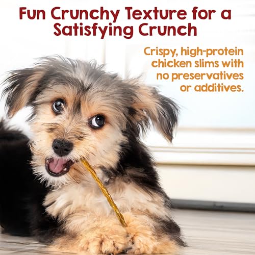 Rileys-Slims-Chicken-Sticks-for-Dogs-USA-Sourced-Dehydrated-Chicken-Dog-Treats-Chicken-Strips-Dog-Jerky-Treats-Made-in-The-USA-2-Pack Rileys Slims Chicken Sticks for Dogs USA Sourced Dehydrated Chicken Dog Treats Chicken Strips Dog Jerky Treats Made in The USA 2 Pack