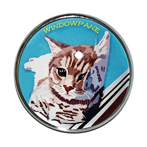 猫 ピンバッジ ガラス窓 猫 BL ピンバッチ 猫 ブローチ 猫ピン