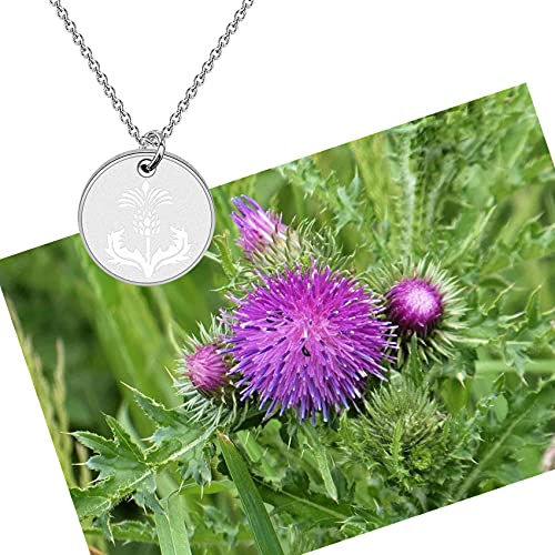 bobauna Inspired Jewelry Scottish Thistle Disc Pendant Necklace Gift4