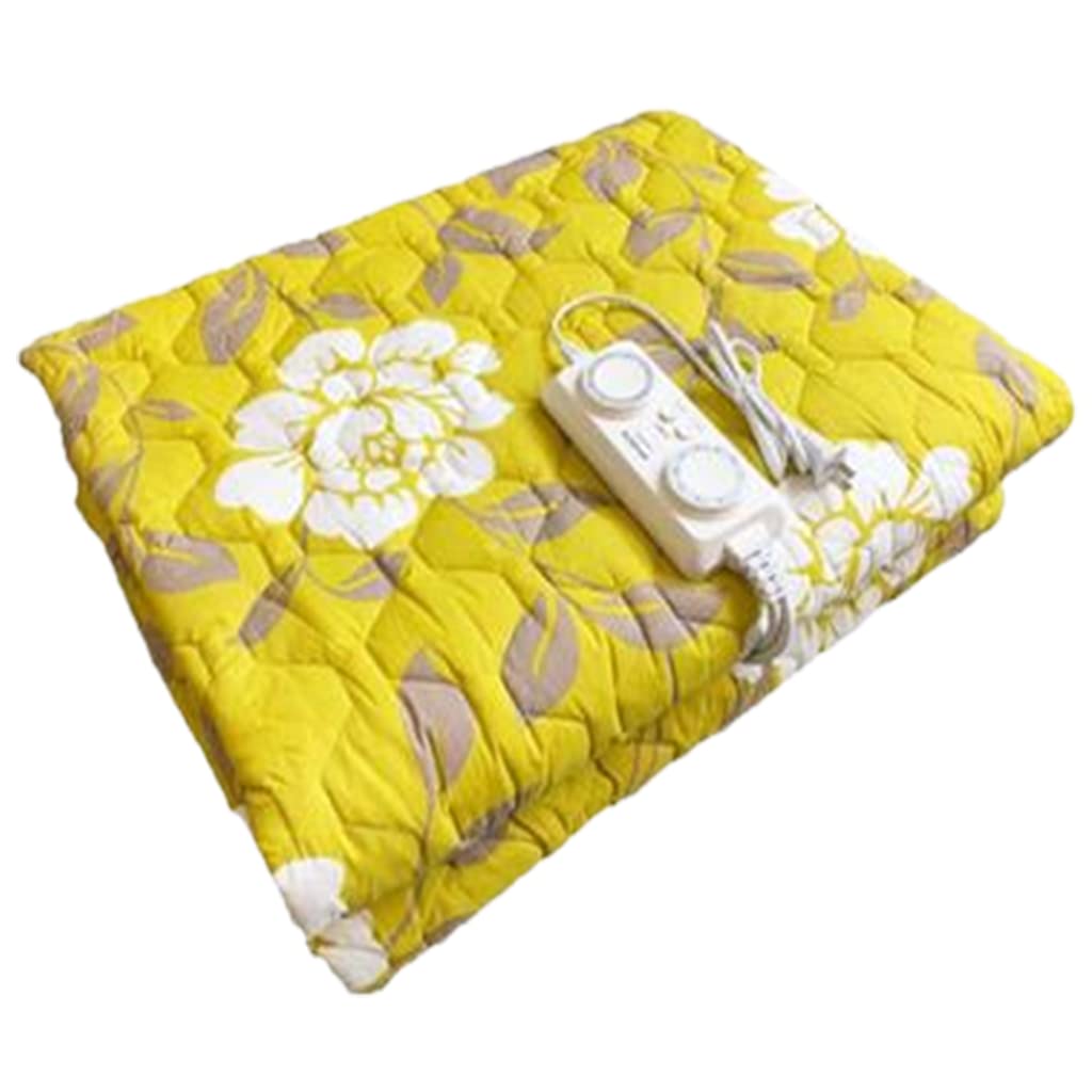 Certified Heated Blanket Electric Blankets Queen Size Home Heated Blanket  with 9 Heating Levels Overheating Auto Off Machine Washable Couch Blanket :  Amazon.ca: Home
