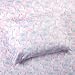 Sleeping Partners Sp Kids Magic Unicorn Sheet Set, Multicolor/Pink, Twin, 3 Count