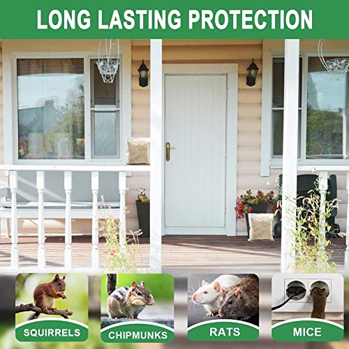 Wofimeha Peppermint Rodent Repellent Pouches #TOP18