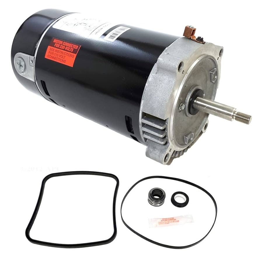Amazon.com: Puri Tech Replacement Motor Kit for Hayward