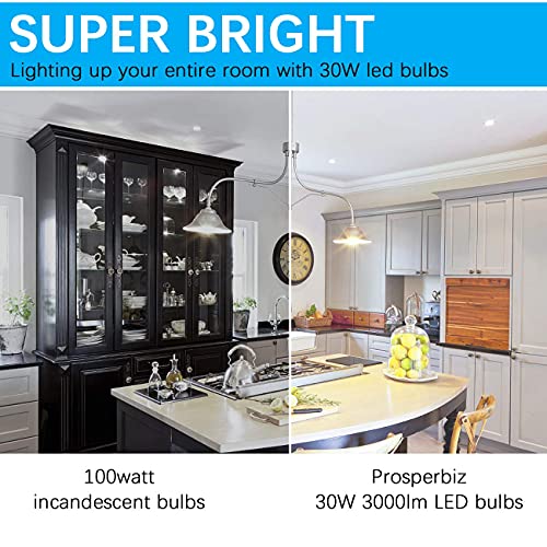 250-300W Equivalent Led Light Bulbs, 3000 Lumens Daylight White 5000K 30W A30 Led Bulbs For Garage, Warehouse, Workshop, Commercial, Office, Backyard, E26 Base Light Bulb Non-Dimmable, 2-Pack #TOP3