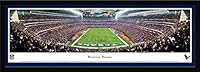Algopix Similar Product 1 - Houston Texans  End Zone  Blakeway
