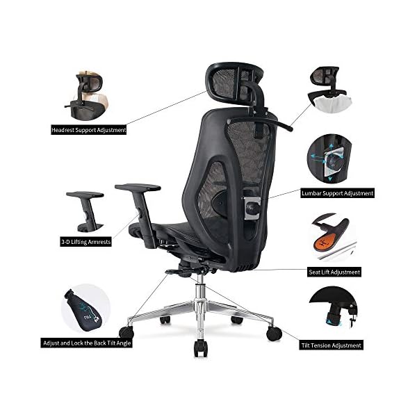 Cedric Ergonomic Office Chair with Lumbar Support，Breathable Mesh Desk Chair with Adjustable Headrest，3D Armrests， Tilt Function-EN1335 certification，CD-8015 - Image 8