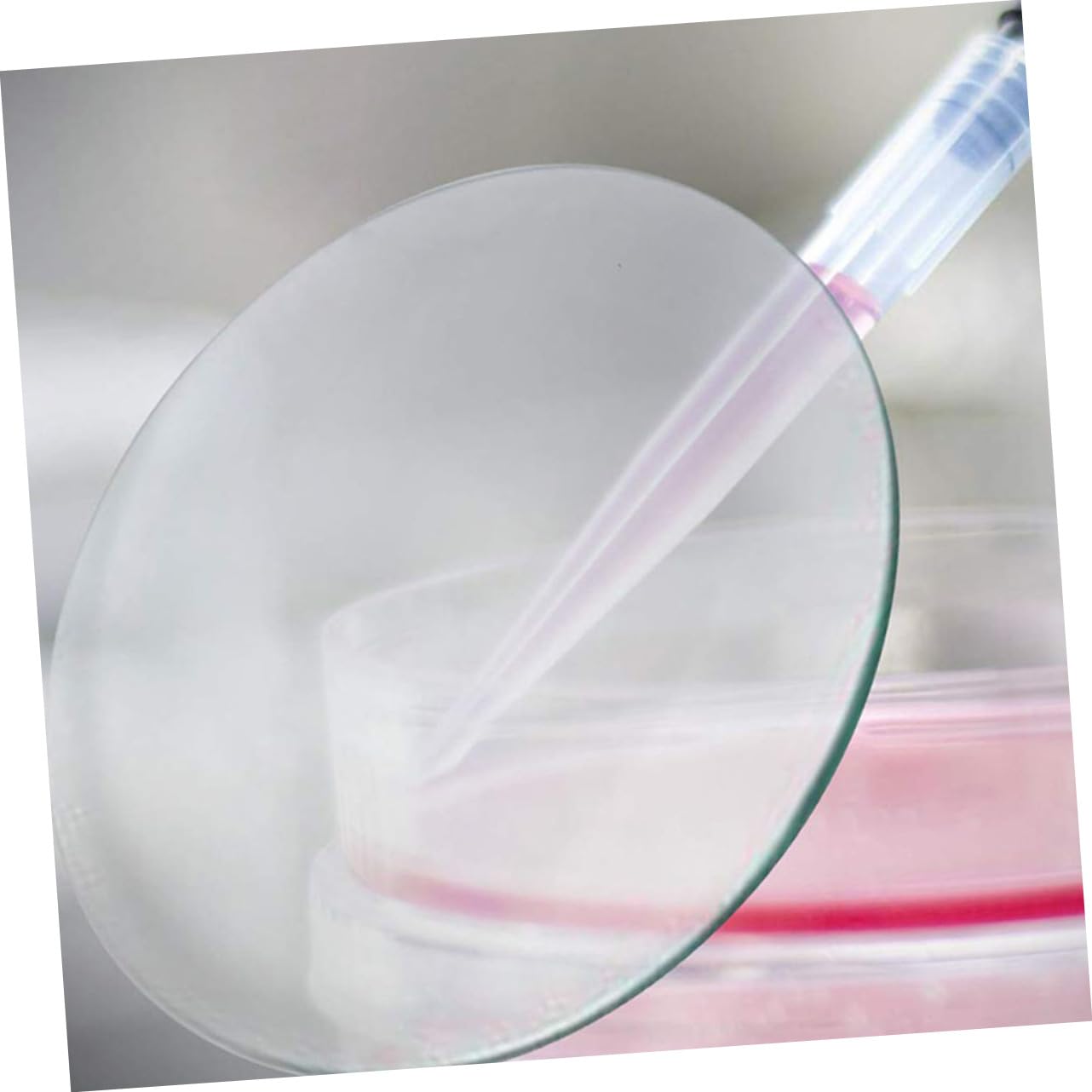 Yardwe 10pezzi Vetri per Orologi in Piatto Trasparente per Esperimenti Chimici Copri Becher Uso Scolastico e Laboratorio