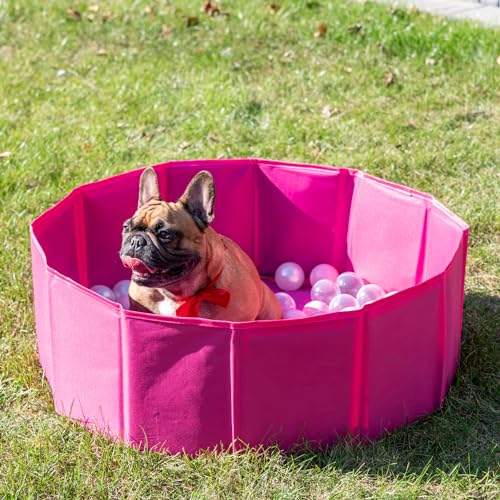 Petsona Hundepool Faltbar Mit Bunten Bällen, Planschbecken Und Badewanne Für Hunde Und Katzen, Pink: Puderrosa/Perle/Transparent