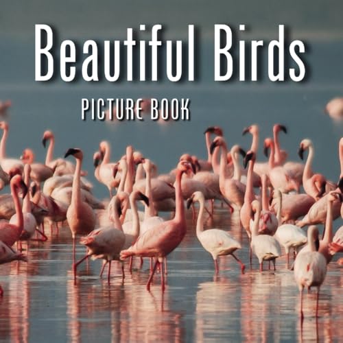 Beautiful Birds Picture Book: Book of Beautiful Photographs for Adults with Dementia and Alzheimer's Disease (Peach Tree Books: Picture Books)
