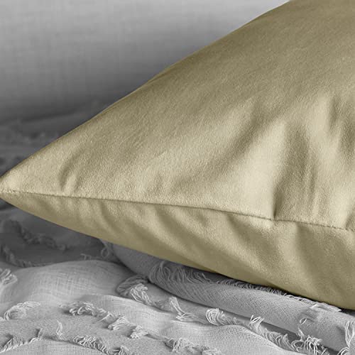 Image of HPD Half Price Drapes Cushion Cover 18 x 18 Heritage Plush Velvet - VPYC-198602-CC18PR - Pair, Macchiato Beige