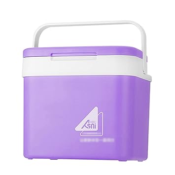 Belity Portable 10L Car Refrigerator Ice Bucket Mini Fridge Cooler and Warmer Picnic Icebox for Skincare Snacks Cans Home and Travel