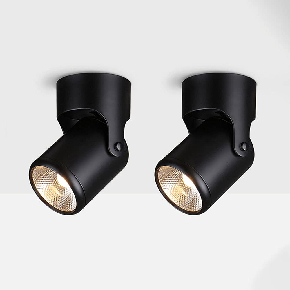 BHGFYXBS 20W Led Ceiling Spotlight, Indoor Adjustable Downlight Accent Spot Lamp ?Wall Spot Lighting Fixture, Black Aluminum Wall Lamp Directional Spotlight For Shop Exhibitio,4000k