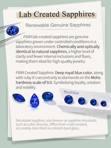 FWM 7 Stones Moissanite/Sapphire/Ruby/Emerald Necklace for Women, 2.80/1.62 Carat Pendant Necklace, Solid 925 Sterling Silver, Anniversary Romantic Gift for Her, Birthday Gifts for Mom Wife Daughter3