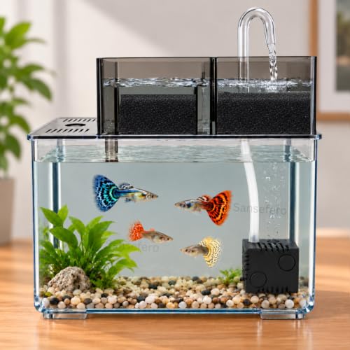 Image of SANSEFERO Mini Aquarium with Filter Pump Betta Tank Ideal for Home, Office Decoration Mini Table Aquarium for Turtle, Small Fishes & Bettas (ZG-001) - Stones & Plants Not Inlcuded