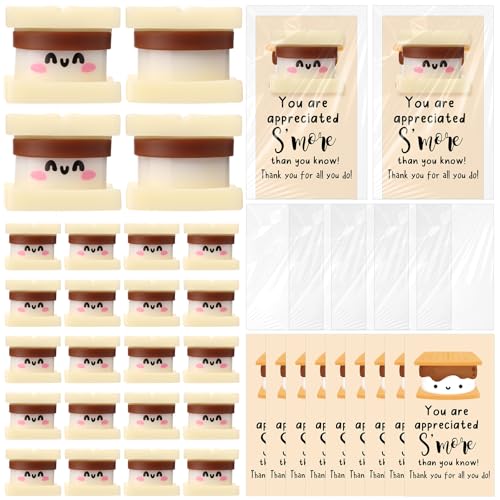 Foilswirl 50 Set Emotional Stress Ball Gifts Bulk Social Worker Employee Appreciation Gifts Cute Squeeze Stress Relief Ball Thank You Inspirational Cards for Staff Coworker Teacher Week (Smore)