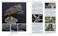 Harry Harrington's Bonsai Inspirations 2 953565151X Book Cover