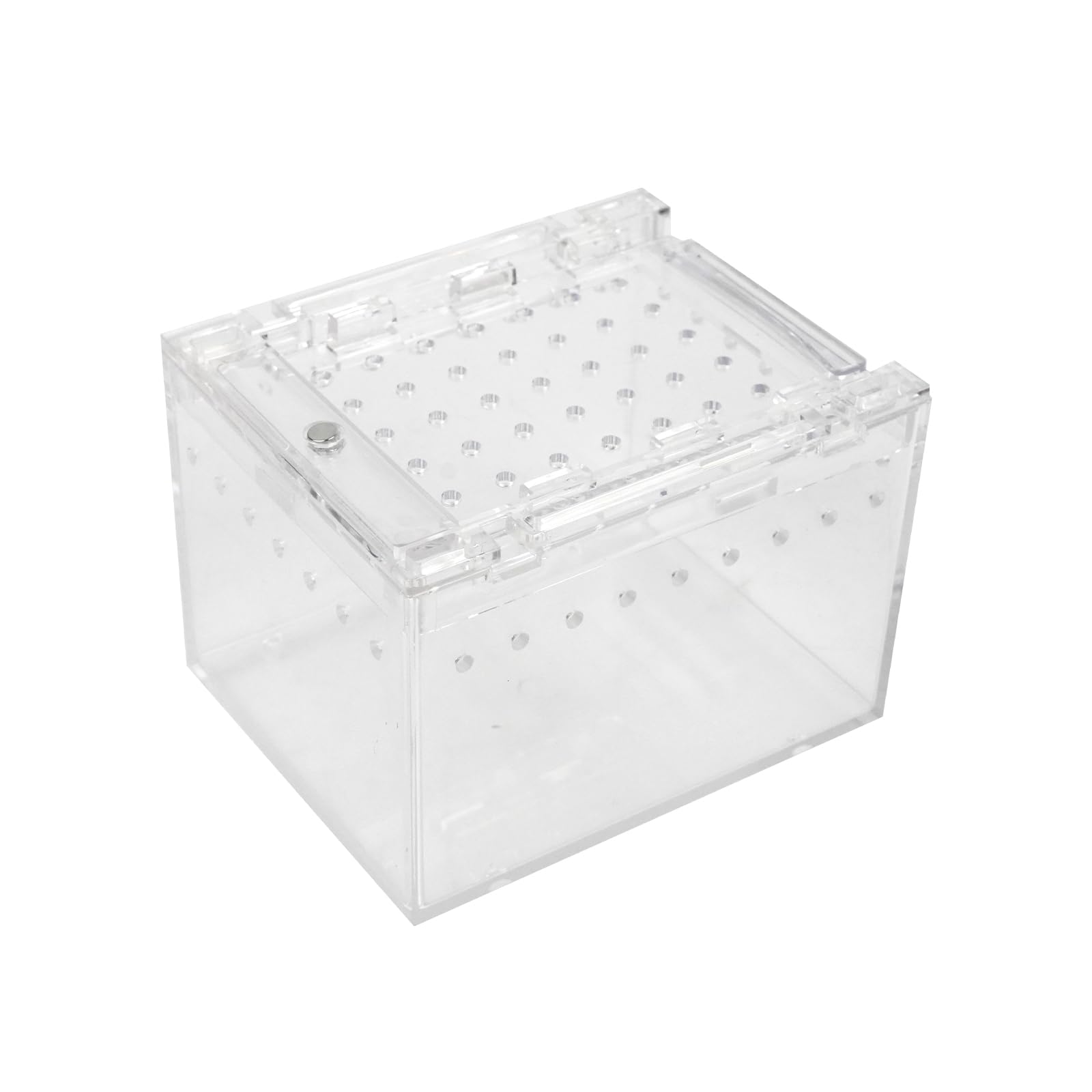 Amazon | 10×8×7cm 爬虫類 ケージ 両生類飼育ケース 昆虫ケージ 通気性