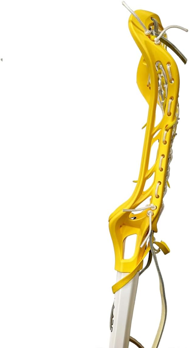 Brine Dynasty 2 Head with Warp NXT Handle Women's Complete Lacrosse Stick