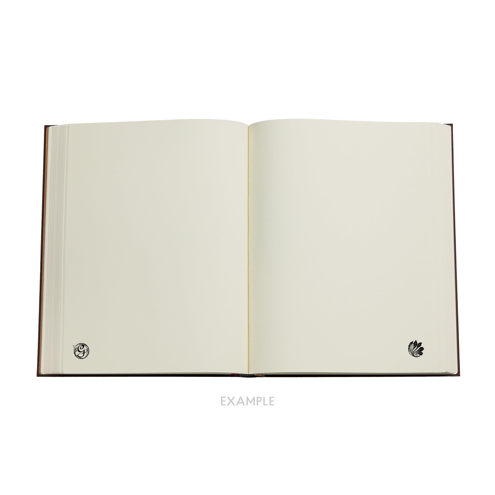 The Magic of Wicked (Wicked Collection) Ultra Unlined Hardcover Journal (Elastic Band Closure)