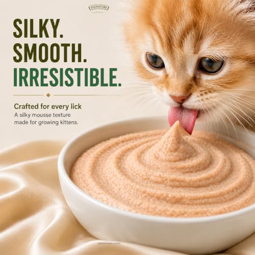 Image of Grain Zero Kitten Wet Mousse 80g Pack of 5, 400g | Tuna Flavour | Rich in Protein, Hydrating & Easy to Digest | Grain Free, No Artificial Flavours | with Essential Vitamins & Antioxidants