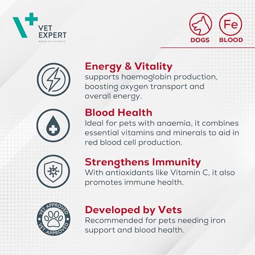VetExpert HemoVet | 60 Tabletten | Ergänzungsfuttermittel für Hunde | Enthaltene Komponenten sind am Prozess der Hämatopoese beteiligt | Mit Eisen, Kupfer, Folsäure & Vitaminen