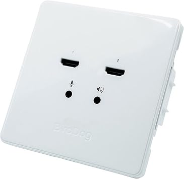 BirdDog BDWPOUT Wallplate Dual Output