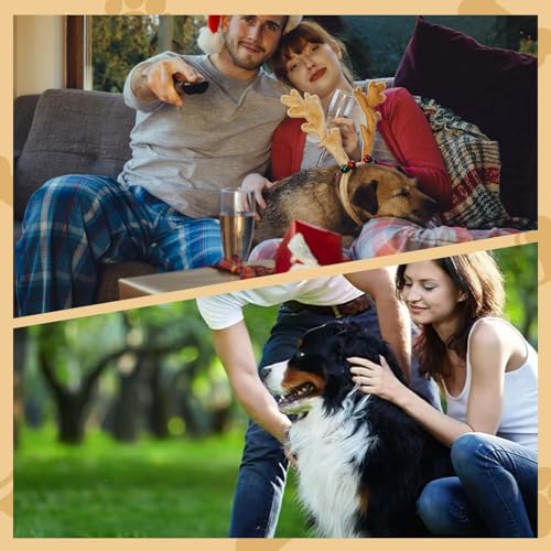 YANSYUN Dackel Socken Geschenk für Hundebesitzer Bestickte Dackel Crew-Socken 36-42 Tennissocken Sportsocken Hunde Motive Sneakersocken Hundesocken Lustige Dog Geschenkideen für Hundeliebhaber