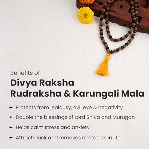Image of Astrotalk Divya Rudraksha Karungali Mala 8mm 108+1 Beads | Original Rudraksha and karungali malai for Protection & Peace | Jap Mala for Meditation | Gift for Man & Woman | Premium Gift Box