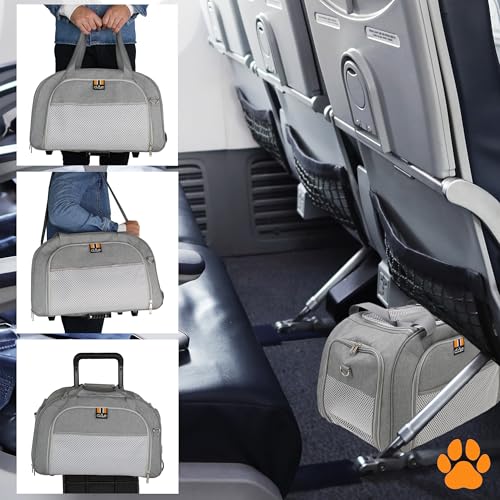 MY DUQUE – Modell CAR-GO Faltbare Hundebox und Transportbox für Katzen | ISOFIX für einfachen Einbau im Auto | Erweiterbare Hundetransportbox mit Zugriff vorn & hinten – Ideal für Flugreisen – Grau