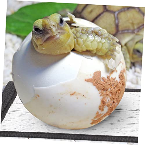 Tapete térmico para reptiles 3 unidades miniatura 3