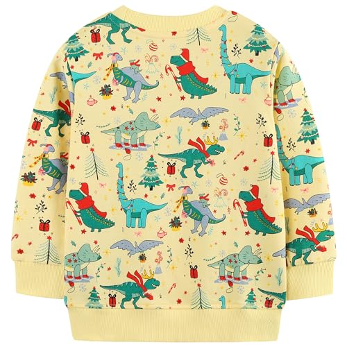 Image of AIWUHE Toddler Cotton Sweatshirt Boys Girls Pullover Long Sleeve Tops 2-6Y | Tops Blouse, Cotton T-Shirt, Fall Winter Clothes