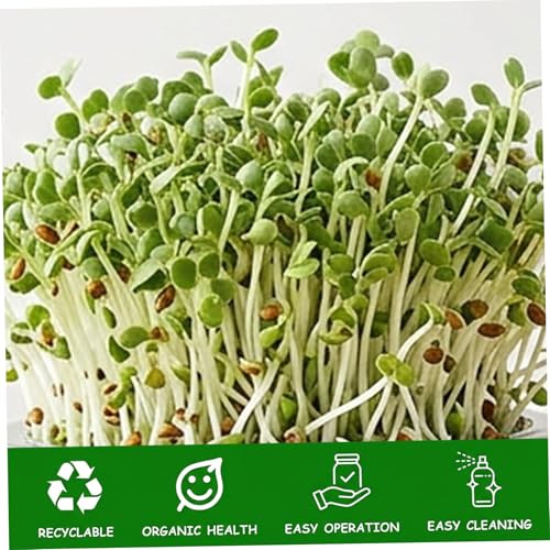 Kit de pots de germination complet avec support inox et bac Easy Home Sprout - 4