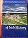 The Course of Irish History