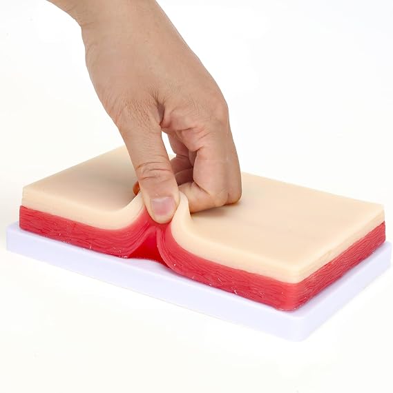 RONTEN 1 Count Silicone Human Skin Model Injection Training Pad, Injection Practice Kit with 2 Veins Imbedded Nurse Student Practice Mat Ideal for IV Phlebotomy and Blood Draw Training
