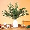 Tavkite 3.5OZ Preserved Real Pine Leaves Branches -17'' Natural Christmas Greenery Plants Twigs Stems Pine Needles Evergreen Picks for Garland Wreath Xmas Wedding Home Party Indoor Outdoor Decor #2