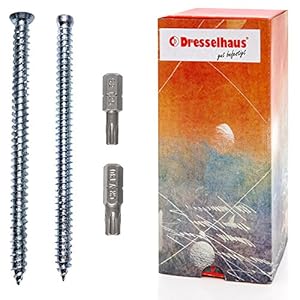 Dresselhaus Fensterrahmenschraube Senkkopf TX 30, 10 Stück