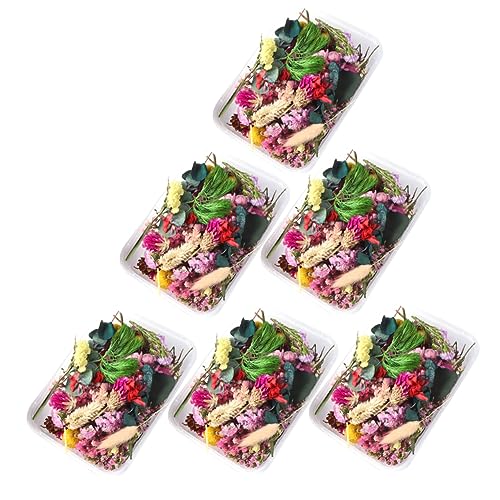 Materiales de flores secas prensadas para manualidades DIY miniatura 1