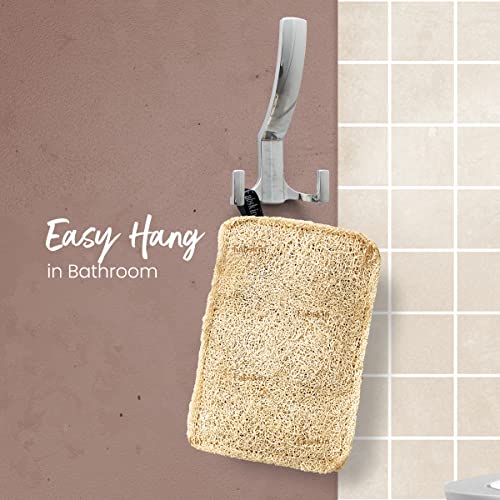Image of Fabskin Natural Loofah Body Scrubber For Bathing For Men & Women I Body Sponge Scrubber for Bathing | Organic Luffa for Bath Shower Skin Exfoliation (Pack 4)