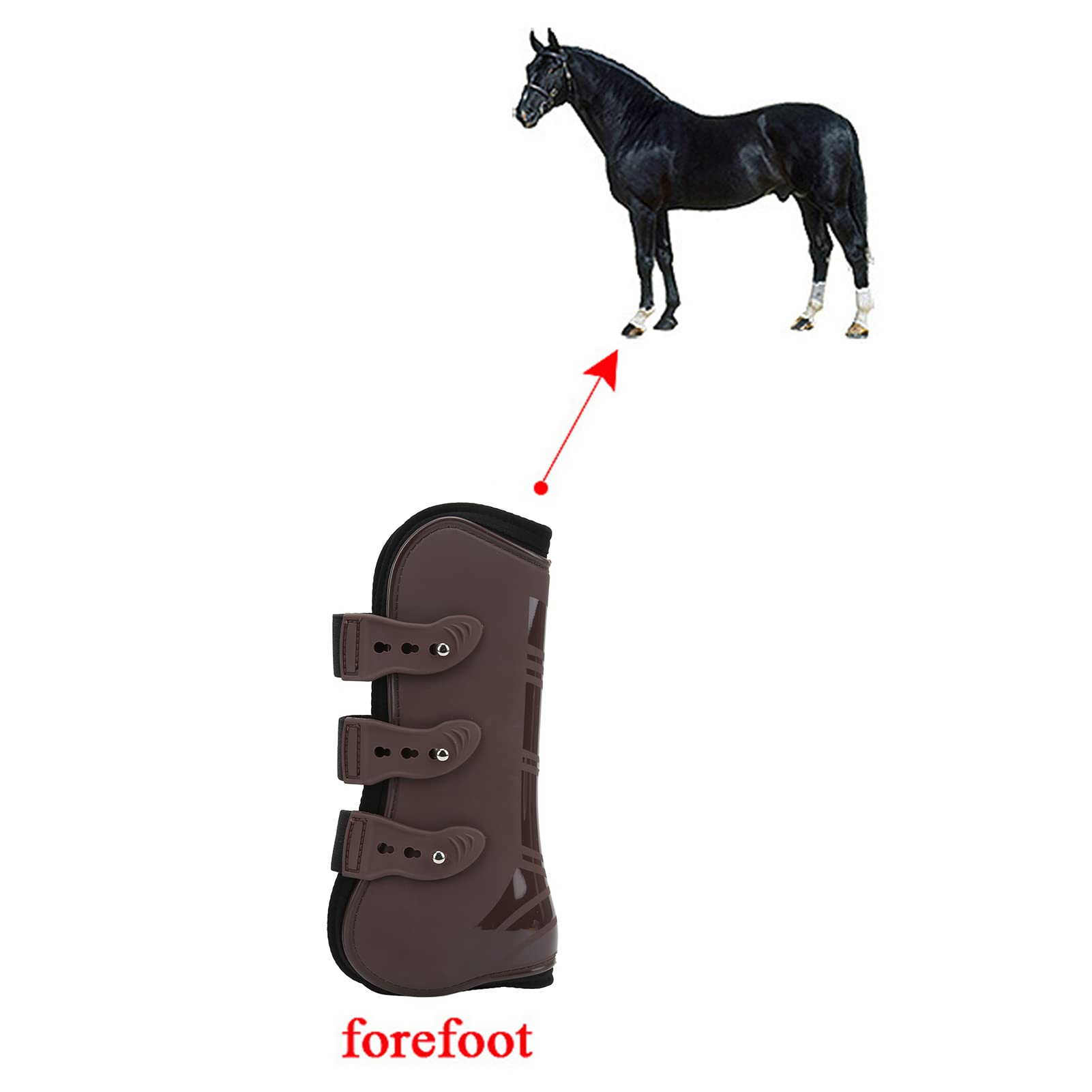 Cyrank 2 Botas Protectoras para Tendón De Caballo, Botas para Caballos, Patas Delanteras, Botas De Soporte para Patas Delanteras De Caballo, Entrenamiento De Resistencia (L)